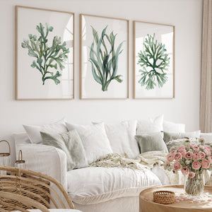 A framed watercolor painting captures the intricate beauty of a single type of green coral, viewed from different angles.