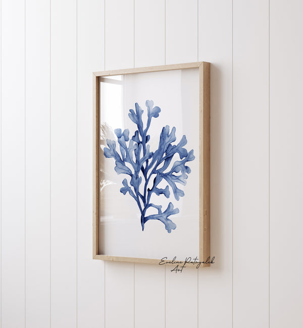 Küsten Aquarellbilder, Korallen im 3er-Set