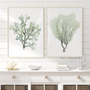 Sage Green Coral Wall Art Set of 2 – Coastal Botanical Prints