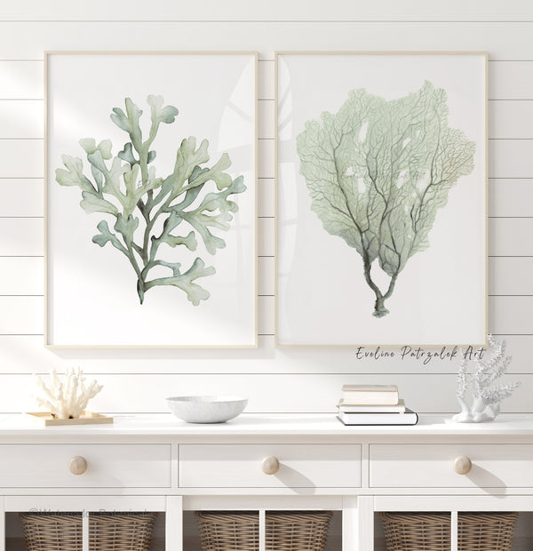 Sage green coral and sea fan watercolor prints on a white shiplap wall above a console