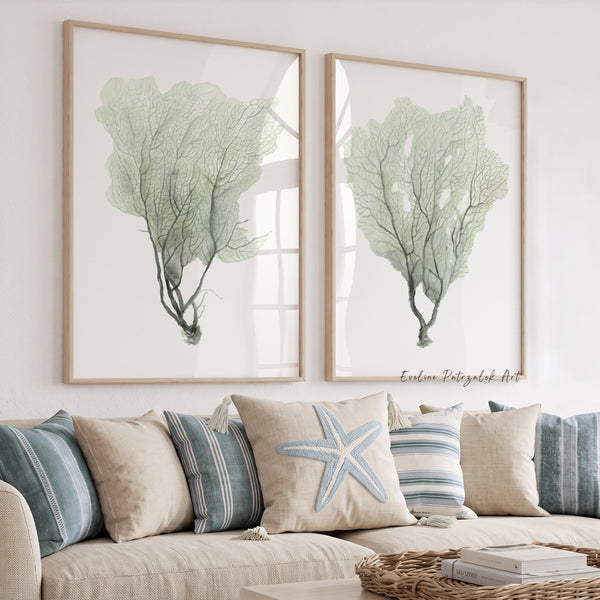 Two sage green watercolor sea fan prints above a beige sofa with striped and starfish cushions