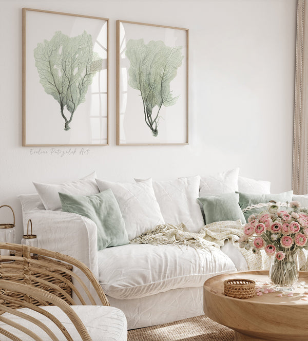 Sage green sea fan wall art set of 2 in a bright living room with a white sofa and rattan chair