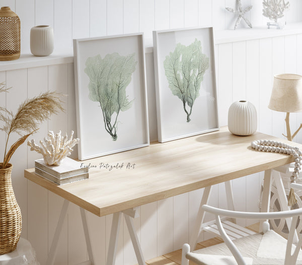 Sea fan prints leaning on a light wooden desk in a coastal home office