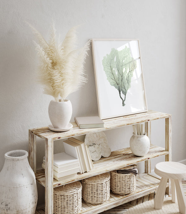 Single sage green sea fan print on a rustic wooden shelf next to pampas grass