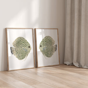 Sage Green Watercolor Fish Wall Art Set of 2 – Minimalist Coastal Ocean Prints, Modern Nautical Home Decor
