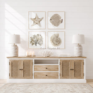 Neutral Coastal Wall Art Set of 4 – Starfish, Fish, Coral & Ammonite