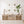 Neutral starfish, fish, coral and ammonite prints above a sideboard with a green plant