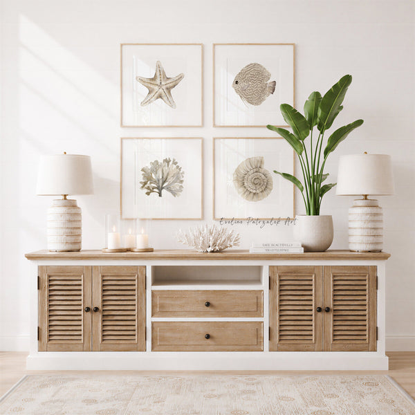 Neutral starfish, fish, coral and ammonite prints above a sideboard with a green plant