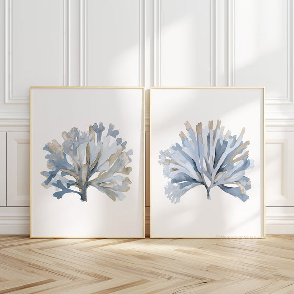 Set of 2 minimalist coastal blue algae wall art for modern interiors