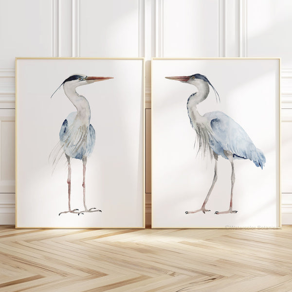 watercolor great blue herons painted on white backgroud stand in thin wooden frames on the floor