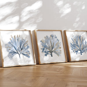 Minimalist Watercolor Coral Art – Set of 3 Coastal Prints in Blue & Beige for Modern Interiors