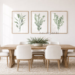 Küchenkräuter Aquarellkunst, 3 moderne botanische Wandposter