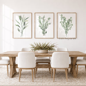 Küchenkräuter Aquarellkunst, 3 moderne botanische Wandposter