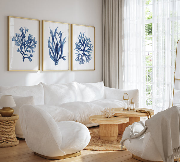 set of 3 minimalist navy blue corals hangs above white couch in modern coastal living room. 