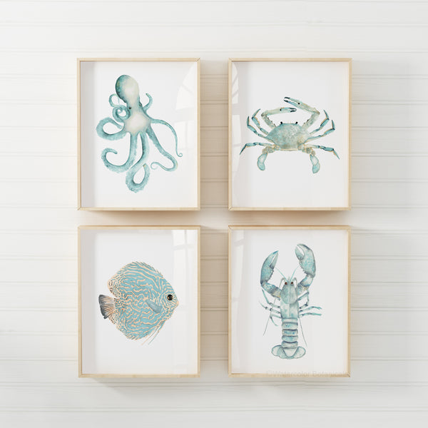 A set of four framed watercolor paintings depicting an octopus, a crab, a fish, and a lobster. The artwork features vibrant teal and turquoise colors. It is hung on a white wall. 