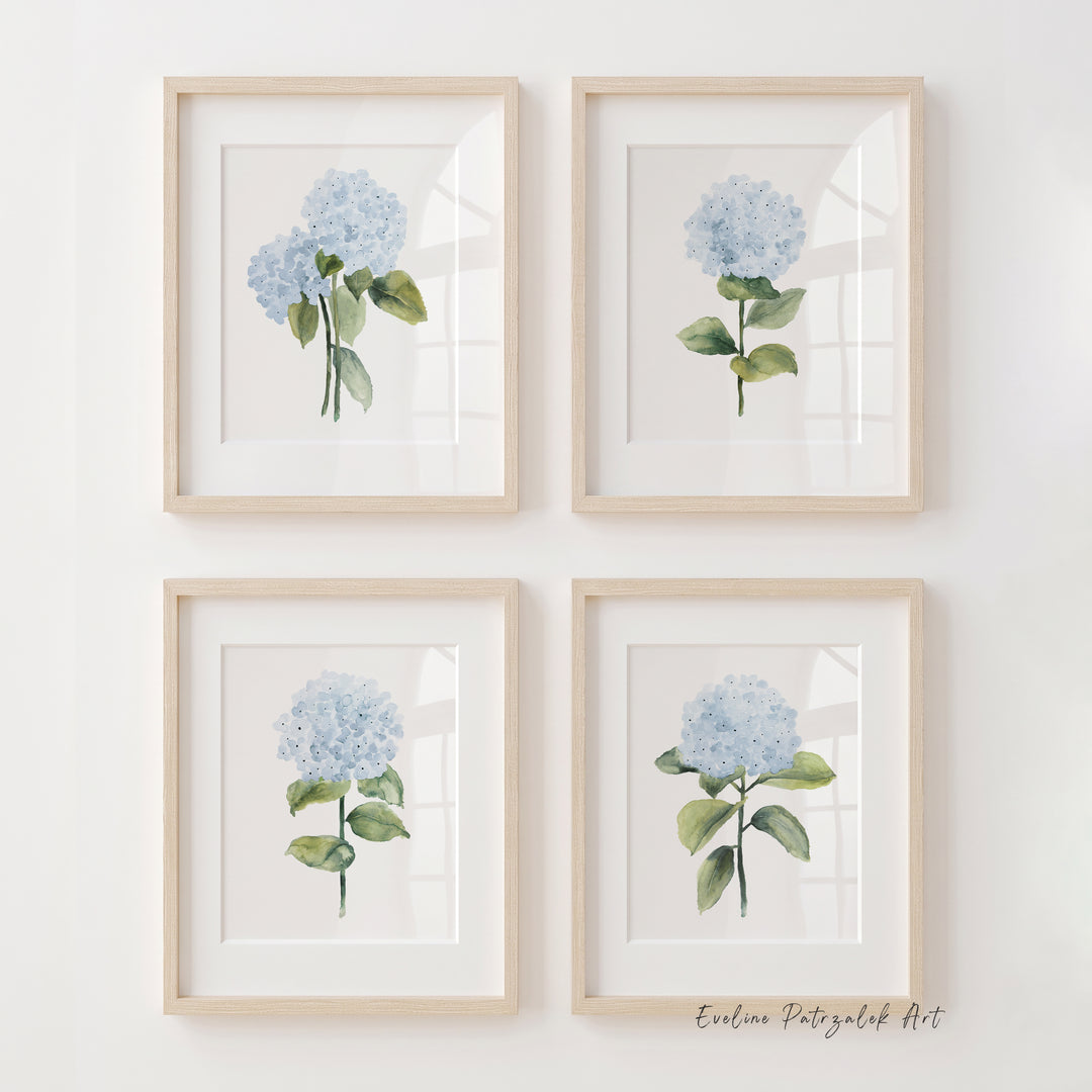 Four framed botanical art prints of blue hydrangeas with green leaves, arranged in a 2x2 grid on a white wall. The frames are light natural wood, and a signature reading 'Evgenia Fotygalk Art' is visible in the bottom right corner.