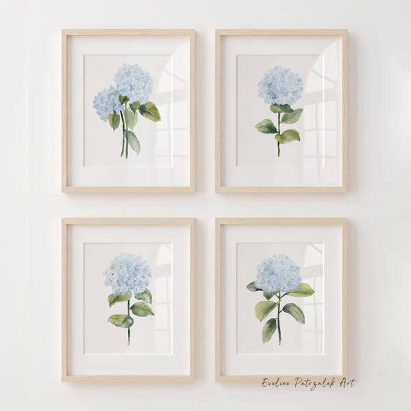 Four framed botanical art prints of blue hydrangeas with green leaves, arranged in a 2x2 grid on a white wall. The frames are light natural wood, and a signature reading 'Evgenia Fotygalk Art' is visible in the bottom right corner.