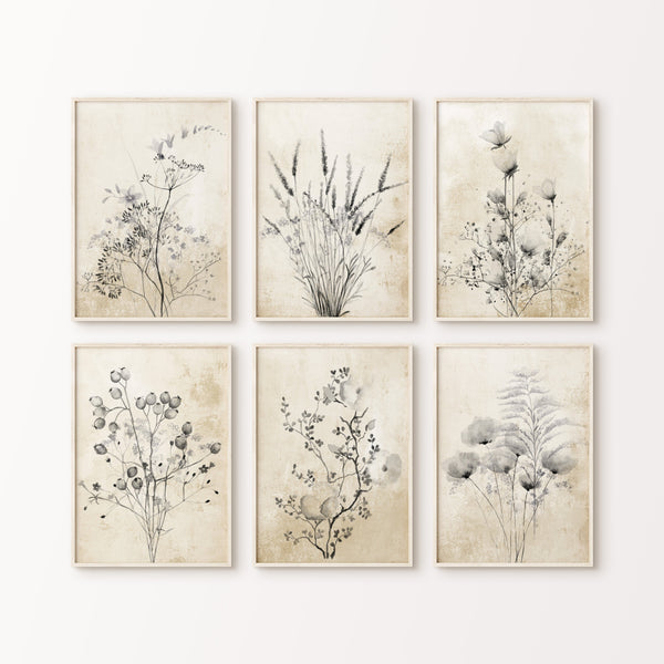 Six framed botanical prints featuring delicate black meadow flowers against a textured, tan background. The prints are arranged in a grid on a white wall.