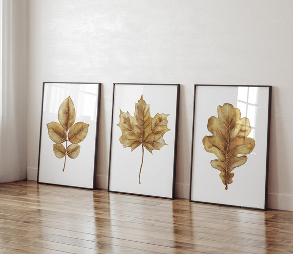 Set of 3 high-quality autumn leaf wall pictures