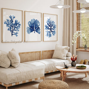 Nautische Aquarelle, 3er-Set marineblaue Kunstdrucke, Hamptons Stil