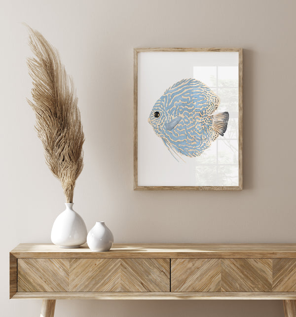 A framed watercolor painting showcases the detailed illustration of a discus fish, its blue and silver scales rendered with delicate precision, creating a captivating display above a console table adorned with dried pampas grass.