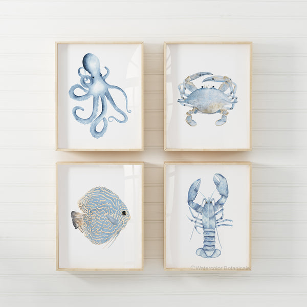 Four framed watercolor paintings showcase exquisitely detailed illustrations of an octopus, lobster, discus fish, and crab, each rendered in vibrant colors and with meticulous attention to detail.