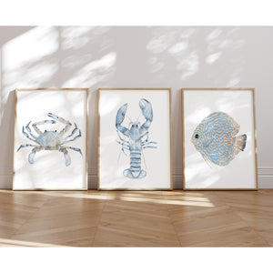 Coastal Marine Watercolor Art – Minimalist Sea Life Print Set of 3 (Crab, Lobster, Fish)