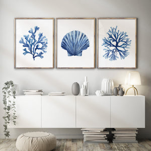 3 Blue Corals Set - Coastal Wall Art for Modern Home Décor