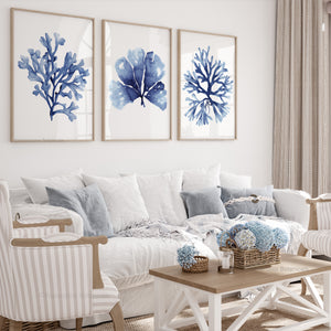Seaweed and coral fine art posters in navy blue tones