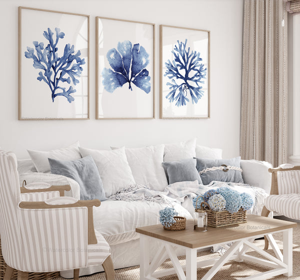 Minimalistisches Set aus 3 marineblauen Korallen- und Algendrucken