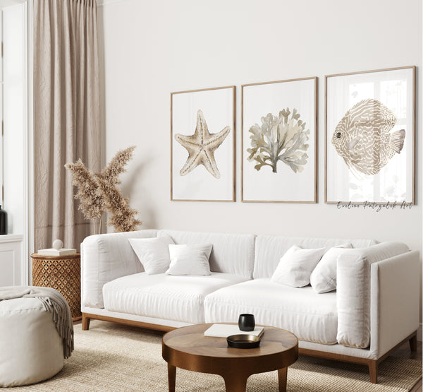 Coastal Farmhouse Wall Art Set of 3 Neutral Coastal Prints