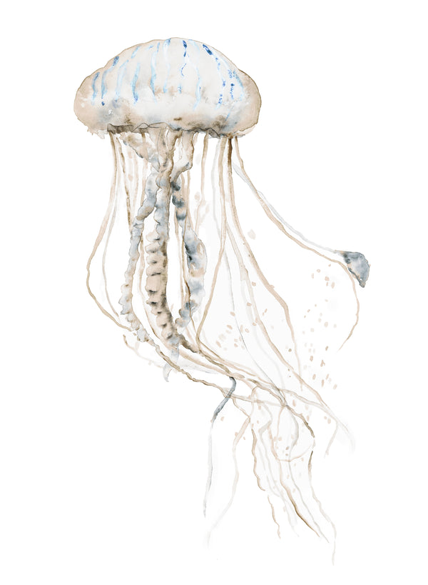 Watercolor jellyfish painting in sand, grey and pale blue on white paper