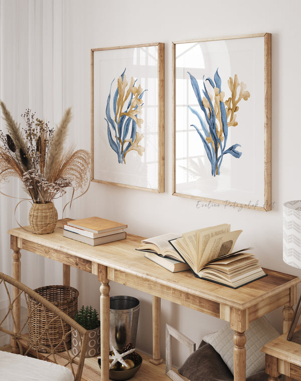 Blue Seaweed Wall Art Set of 2 Coastal Botanical Prints Modern Farmhouse Decor