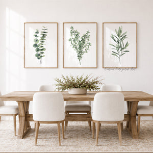 Eukalyptus, Thymian & Olive Wandbilder 3er Set – Aquarell Küchenkräuter Kunstdrucke
