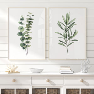 Eucalyptus & Olive Branch Watercolor Botanical Prints Set of 2 for Organic Modern Farmhouse Decor