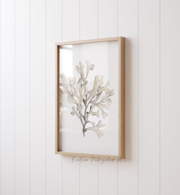 Beige Korallen Bilder 2er Set – Aquarell Wandbilder im Coastal Stil