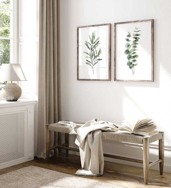 Eukalyptus Bilder & Olivenzweig Set 2er Botanische Aquarell Wandbilder