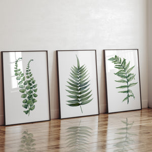 Green Fern Wall Art Set of 3 – Watercolor Botanical Prints for Natural Interiors
