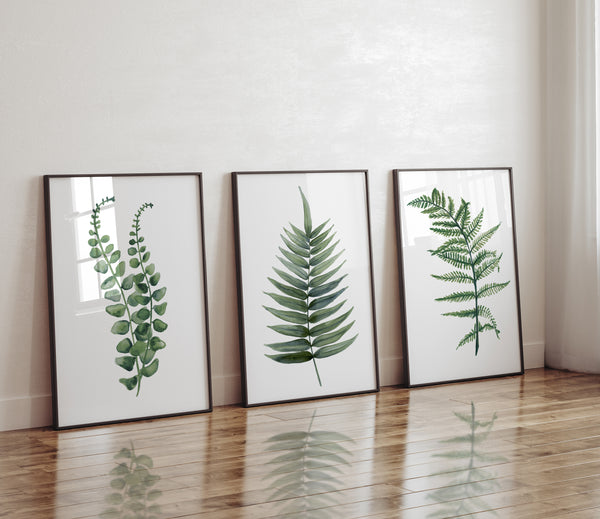 Three framed botanical art prints with green fern leaf illustrations leaning against a white wall on a polished wood floor.