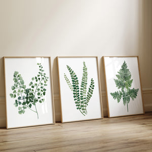 Green Botanical Wall Art Set of 3 – Fern & Leaf Watercolor Prints, Minimalist Plant Art, Modern Nature-Inspired Decor for Home or Office
