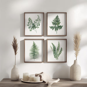 Set of 4 minimalist fern leaf wall posters for Scandinavian design
