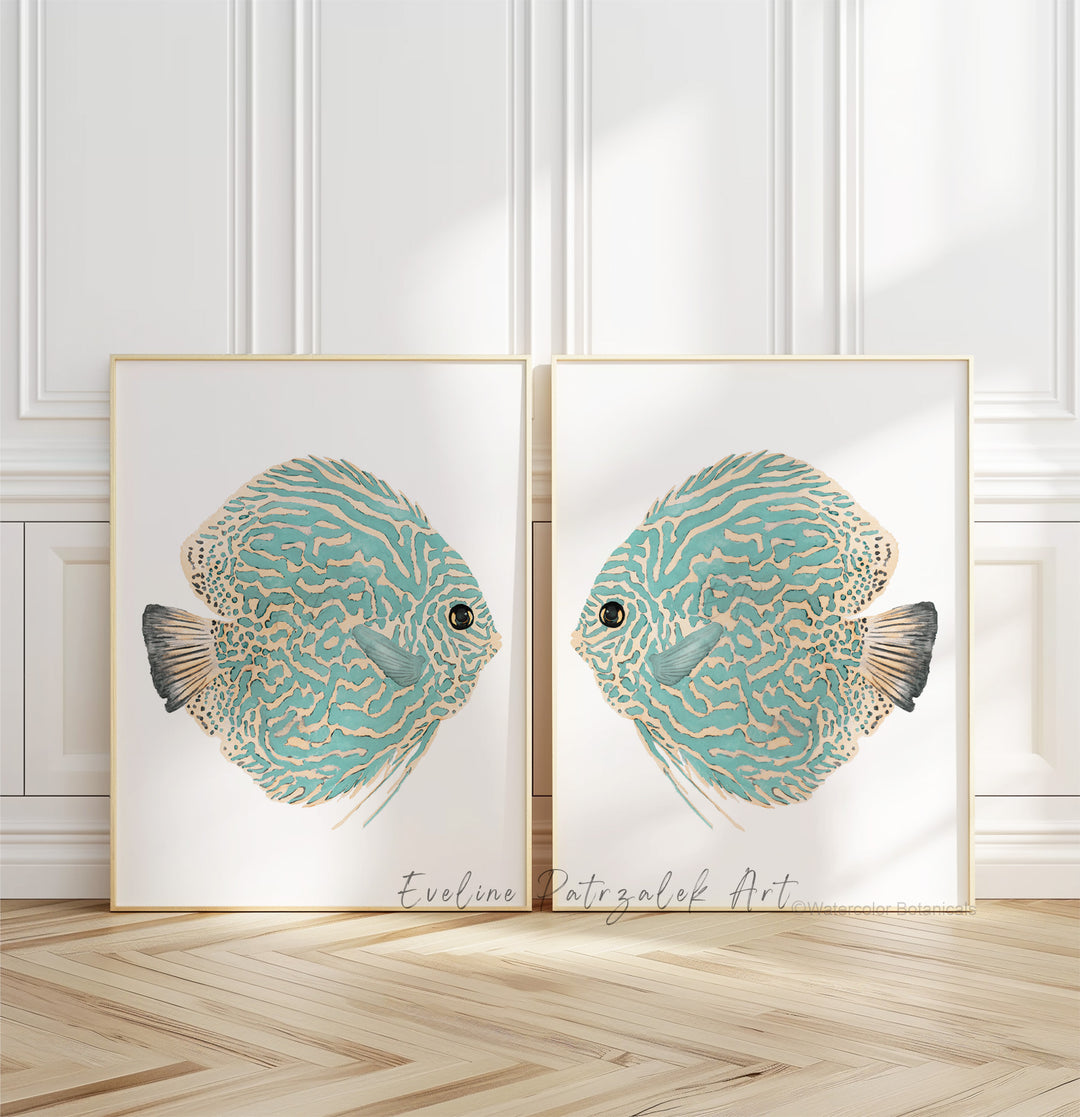 Two framed illustrations of fish on a wall with a wooden floor.