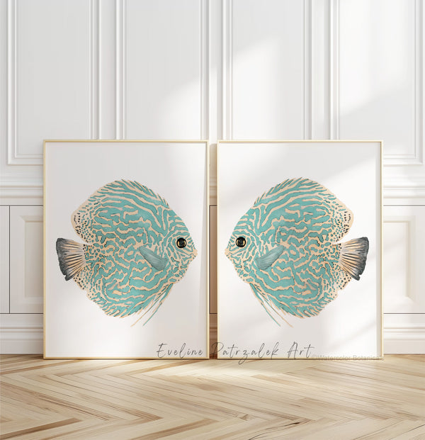 Two framed illustrations of fish on a wall with a wooden floor.