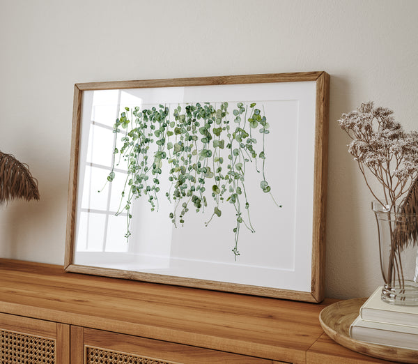 watercolor hanging plant eceropegia in green is put into wooden mat frame and stands on a buffet leaning towards left