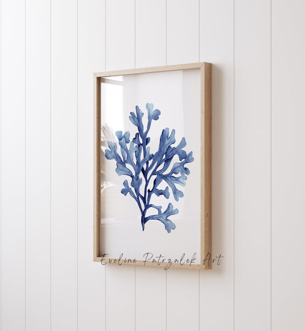 Hamptons-style navy coral wall posters, Set of 3