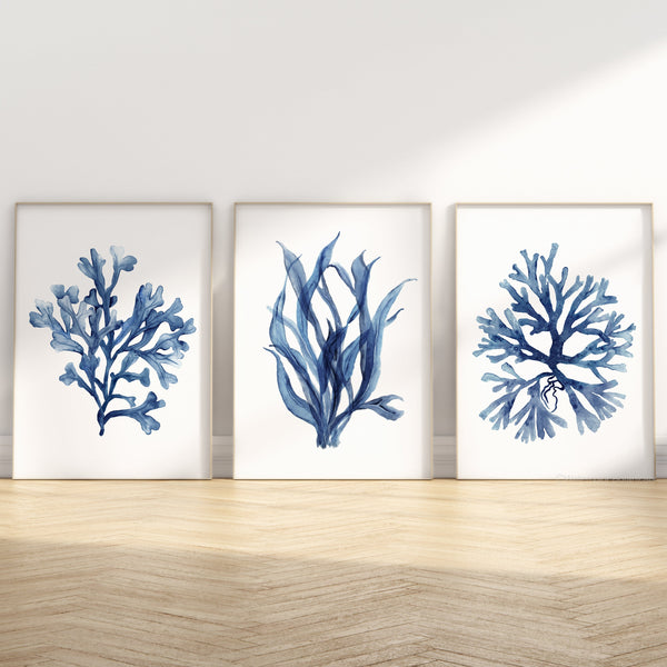 watercolor set of 3 prints in wooden frames featuring minimalist navy blue corals painted on white background