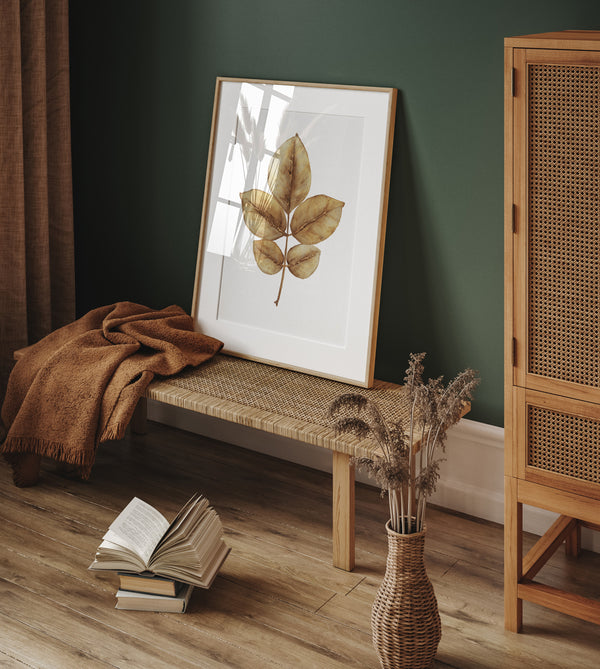 Set of 3 high-quality autumn leaf wall pictures