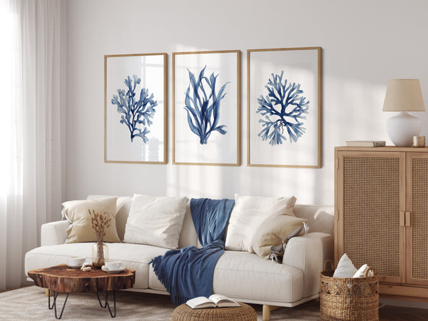 Minimalistisches Set aus 3 marineblauen Korallen- und Algendrucken