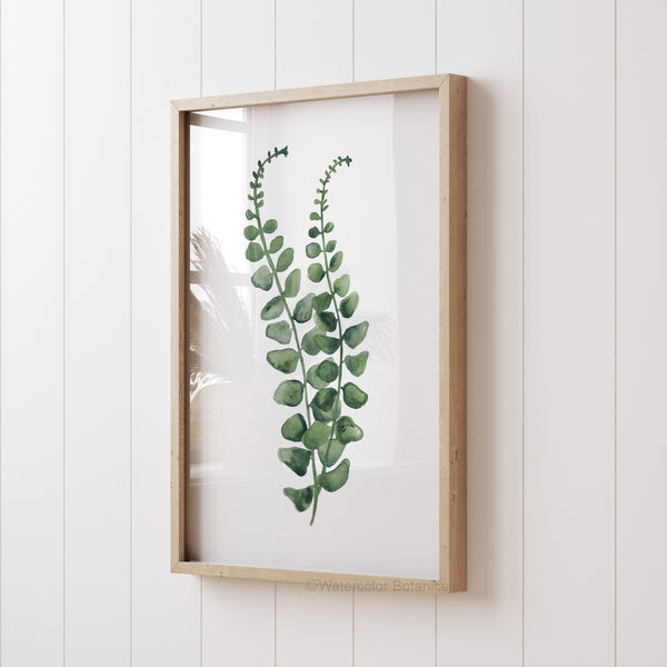 A framed watercolor painting of a delicate green fern branch hangs on a white wall in a bright, airy room.