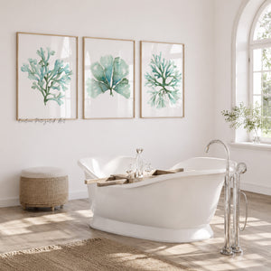 Watercolor Coastal Seaweed Wall Art Set – Green Ocean Botanical Collection